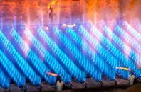 Edderton gas fired boilers